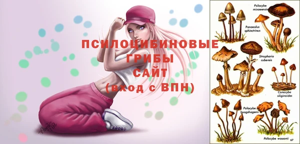 не бодяженный Беломорск