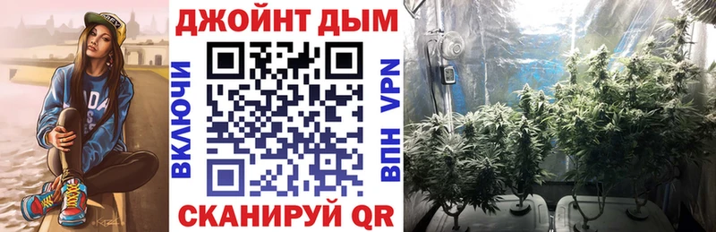 Канабис семена  блэк спрут ССЫЛКА  Костомукша  закладки 
